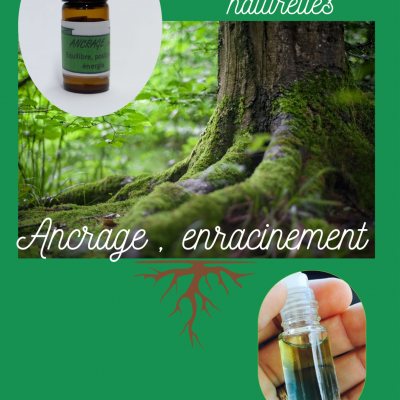 Boutique aromatherapie la rochelle huiles essentielles ancrage enracinement roll on 2